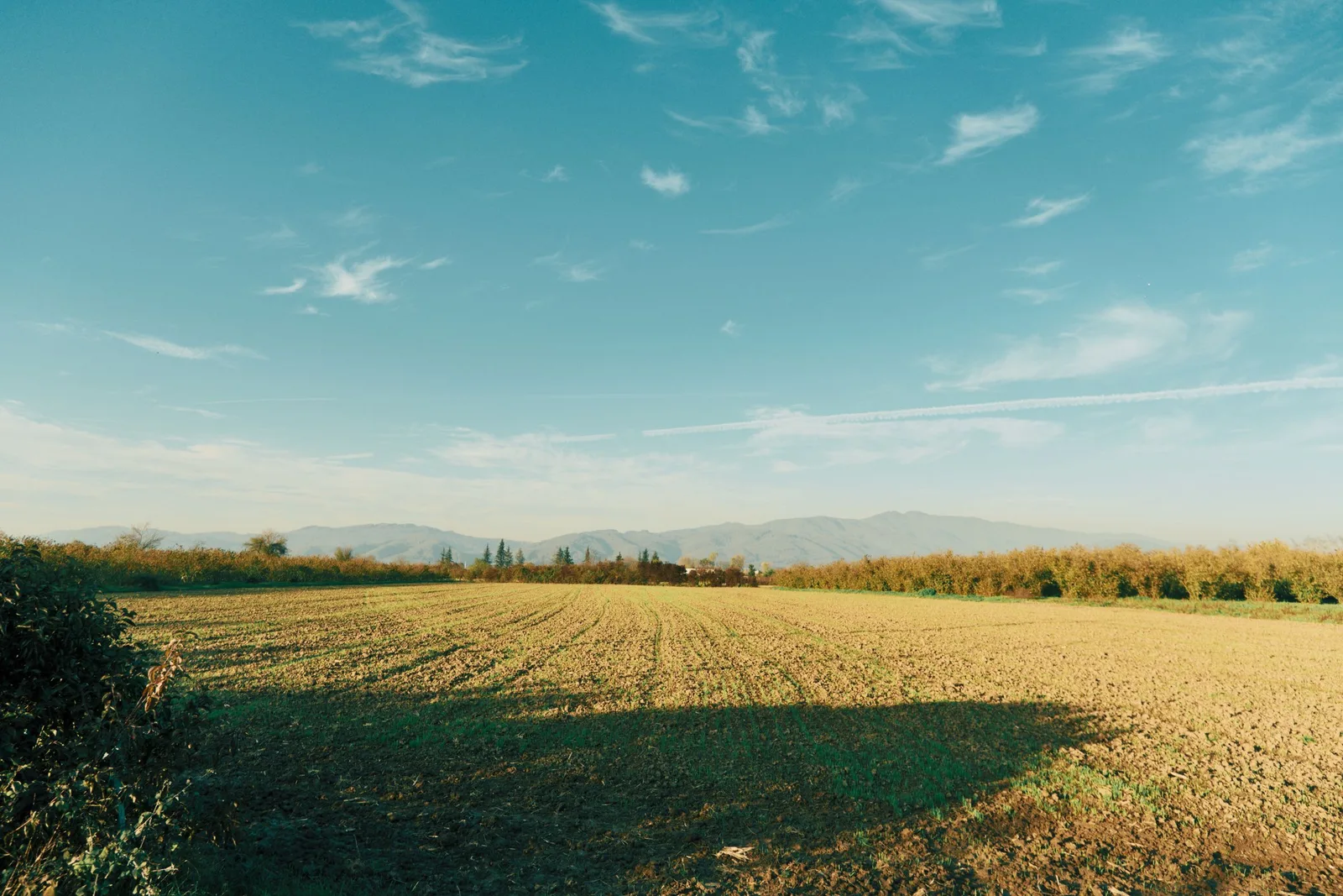 Satılık arsa, 500 m², imarlı